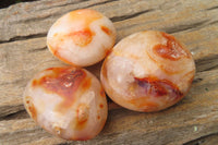 Polished Carnelian Agate Galet - Palmstones x 12 From Madagascar - Toprock Gemstones and Minerals 