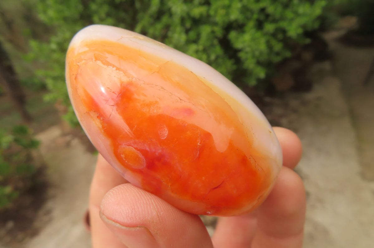 Polished Carnelian Agate Galet - Palmstones x 12 From Madagascar - Toprock Gemstones and Minerals 
