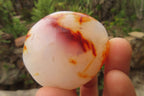 Polished Carnelian Agate Galet - Palmstones x 12 From Madagascar - Toprock Gemstones and Minerals 
