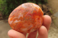 Polished Carnelian Agate Galet - Palmstones x 12 From Madagascar - Toprock Gemstones and Minerals 