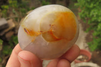 Polished Carnelian Agate Galet - Palmstones x 12 From Madagascar - Toprock Gemstones and Minerals 