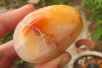 Polished Carnelian Agate Galet - Palmstones x 12 From Madagascar - Toprock Gemstones and Minerals 