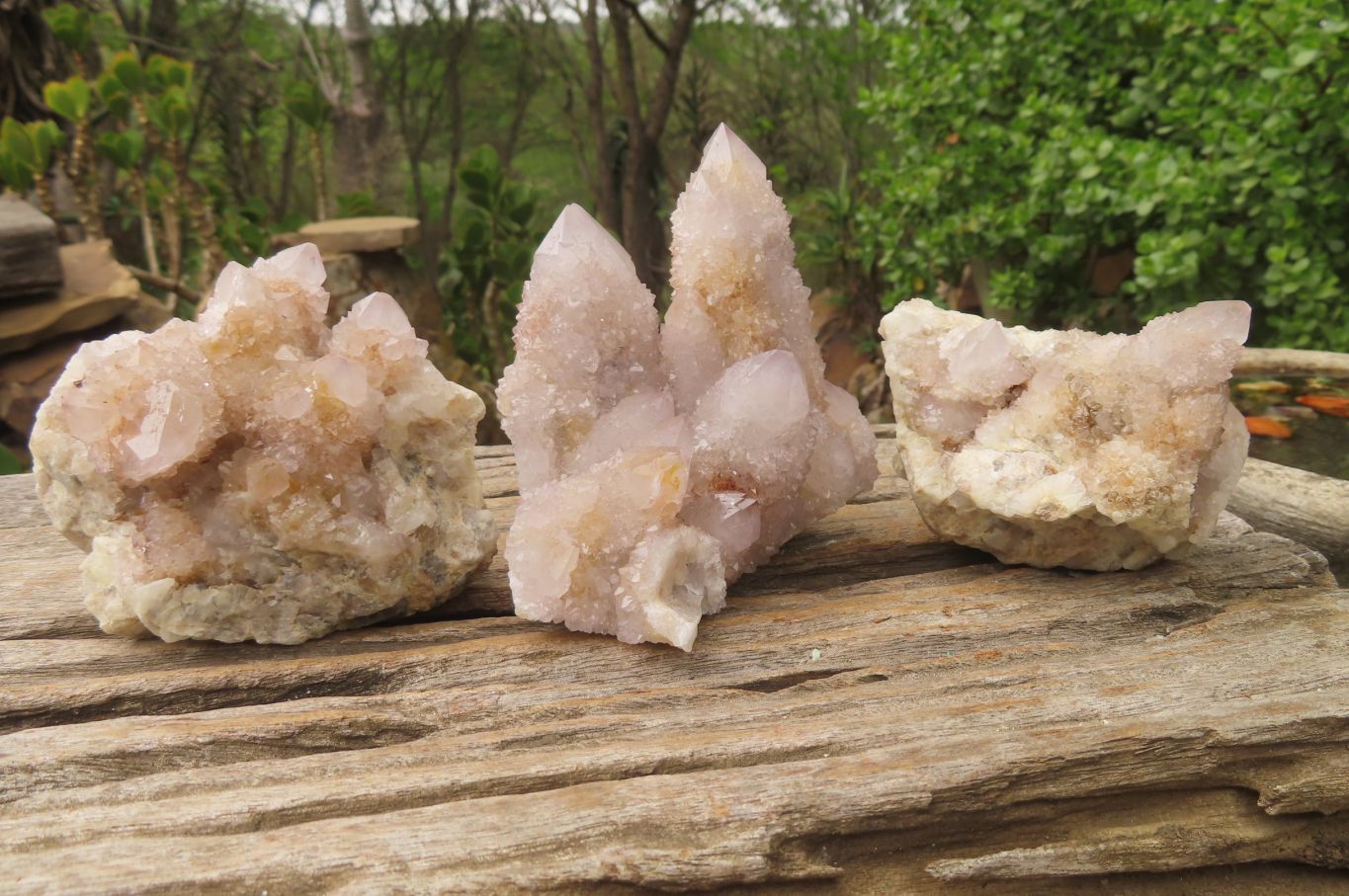 Natural Long Fingered Ametrine Spirit Quartz Clusters x 3 From Boekenhouthoek, South Africa - Toprock Gemstones and Minerals 