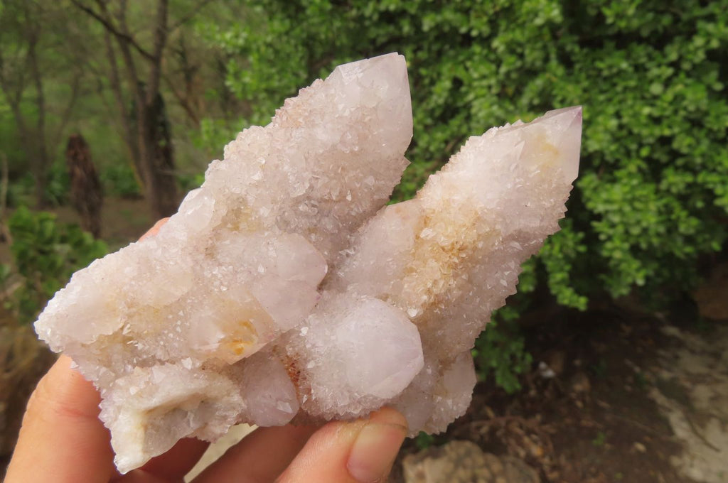 Natural Long Fingered Ametrine Spirit Quartz Clusters x 3 From Boekenhouthoek, South Africa - Toprock Gemstones and Minerals 