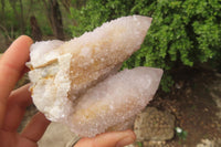 Natural Long Fingered Ametrine Spirit Quartz Clusters x 3 From Boekenhouthoek, South Africa - Toprock Gemstones and Minerals 