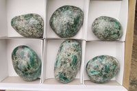 Polished Rare Emerald Mica In Matrix Free Forms x 6 From Mutoko, Zimbabwe - Toprock Gemstones and Minerals 