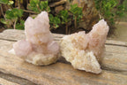 Natural Pale Lilac Spirit Quartz Clusters x 6 From Boekenhouthoek, South Africa - Toprock Gemstones and Minerals 