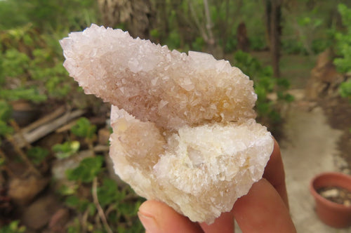 Natural Pale Lilac Spirit Quartz Clusters x 6 From Boekenhouthoek, South Africa - Toprock Gemstones and Minerals 