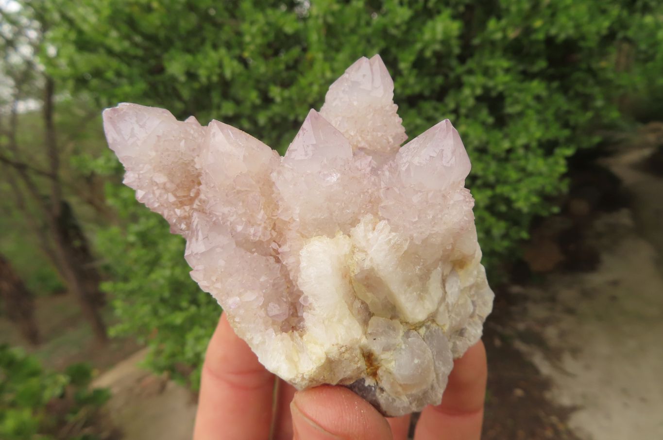 Natural Pale Lilac Spirit Quartz Clusters x 6 From Boekenhouthoek, South Africa - Toprock Gemstones and Minerals 