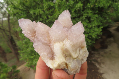 Natural Pale Lilac Spirit Quartz Clusters x 6 From Boekenhouthoek, South Africa - Toprock Gemstones and Minerals 