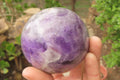Polished Chevron Amethyst Spheres x 2 From Madagascar - Toprock Gemstones and Minerals 