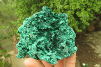 Natural Silky Malachite Specimens x 3 From Kasompe, Congo