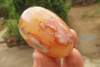 Polished Flower Agate Palm Stones x 12 From Madagascar - Toprock Gemstones and Minerals 