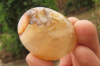 Polished Flower Agate Palm Stones x 12 From Madagascar - Toprock Gemstones and Minerals 