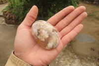 Polished Flower Agate Palm Stones x 12 From Madagascar - Toprock Gemstones and Minerals 