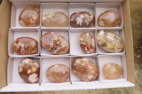 Polished Flower Agate Palm Stones x 12 From Madagascar - Toprock Gemstones and Minerals 