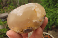 Polished Flower Agate Palm Stones x 12 From Madagascar - Toprock Gemstones and Minerals 