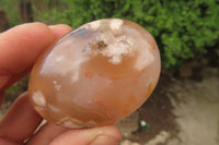 Polished Flower Agate Palm Stones x 12 From Madagascar - Toprock Gemstones and Minerals 
