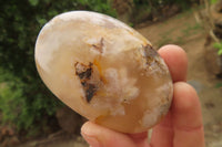 Polished Flower Agate Palm Stones x 12 From Madagascar - Toprock Gemstones and Minerals 
