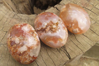 Polished Flower Agate Palm Stones x 12 From Madagascar - Toprock Gemstones and Minerals 