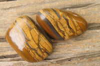 Polished Tiger's Eye Free Forms x 6 From Prieska, South Africa