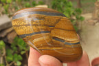 Polished Tiger's Eye Free Forms x 6 From Prieska, South Africa - Toprock Gemstones and Minerals 
