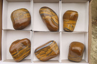 Polished Tiger's Eye Free Forms x 6 From Prieska, South Africa
