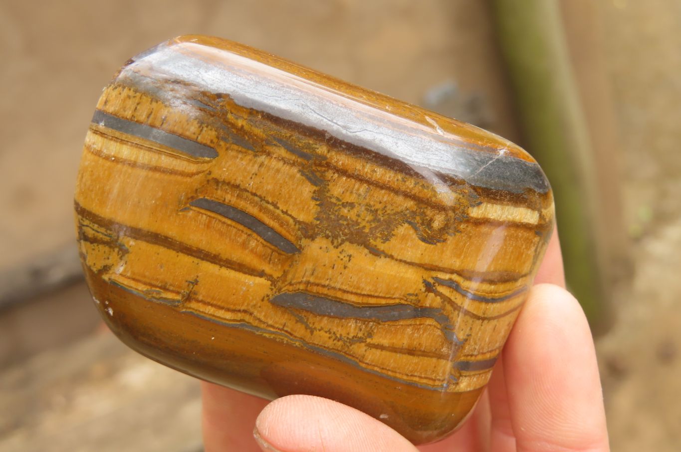 Polished Tiger's Eye Free Forms x 6 From Prieska, South Africa - Toprock Gemstones and Minerals 
