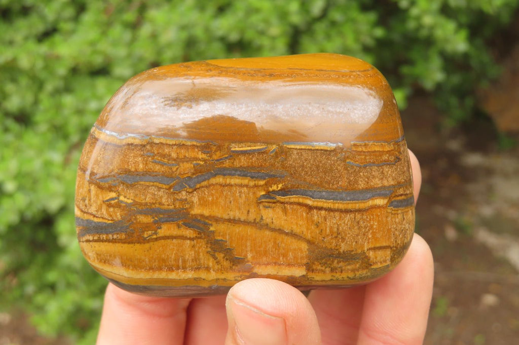 Polished Tiger's Eye Free Forms x 6 From Prieska, South Africa - Toprock Gemstones and Minerals 