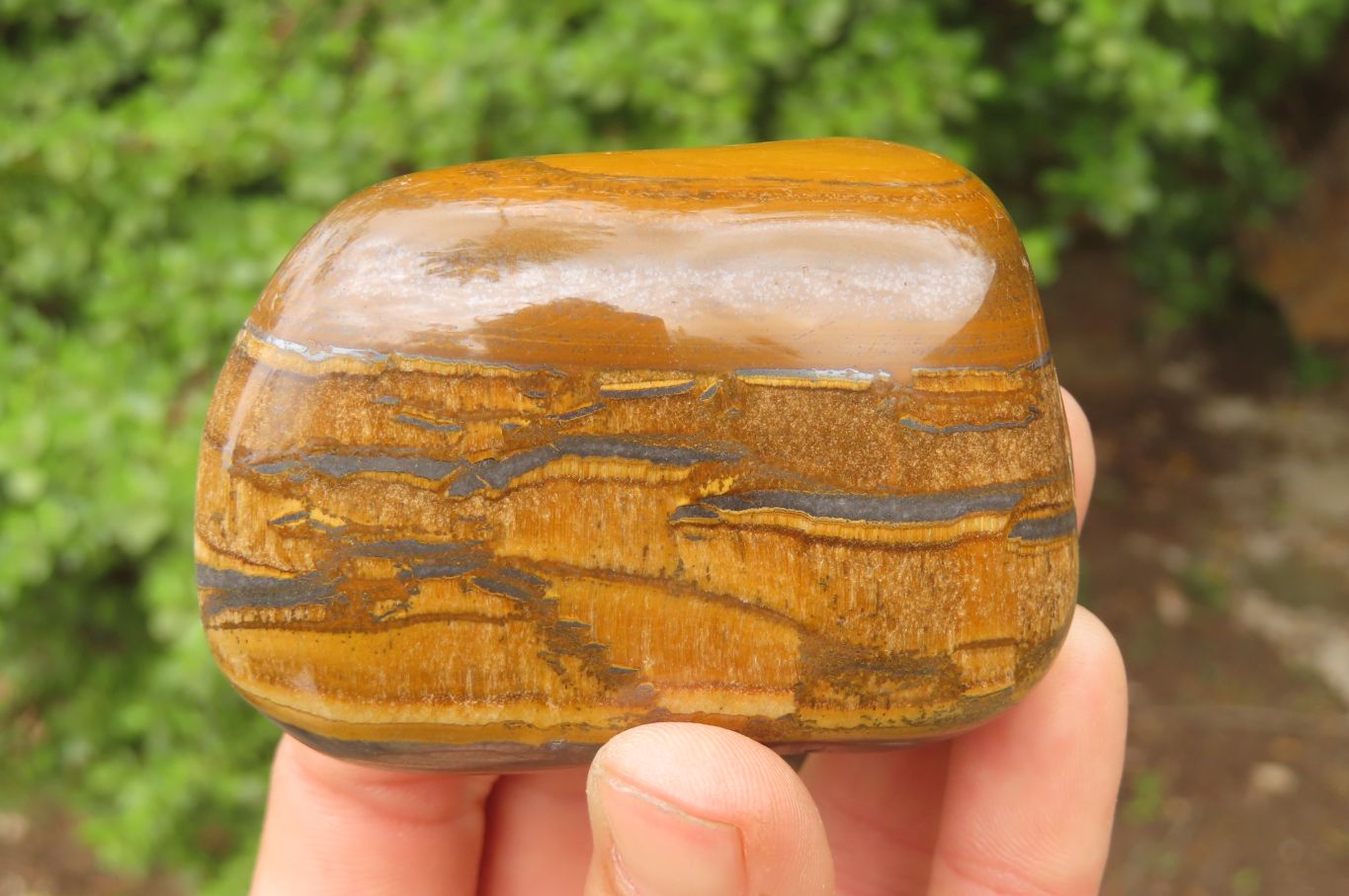 Polished Tiger's Eye Free Forms x 6 From Prieska, South Africa - Toprock Gemstones and Minerals 