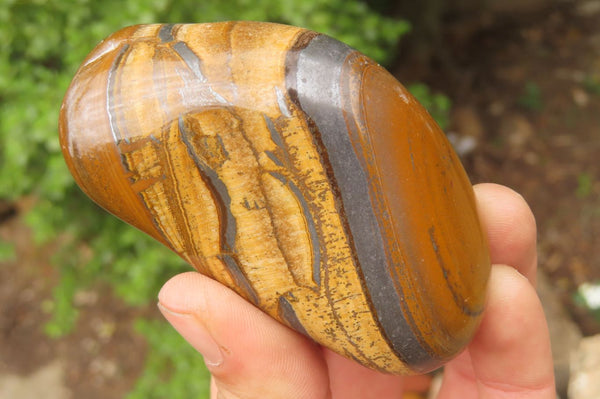 Polished Tiger's Eye Free Forms x 6 From Prieska, South Africa