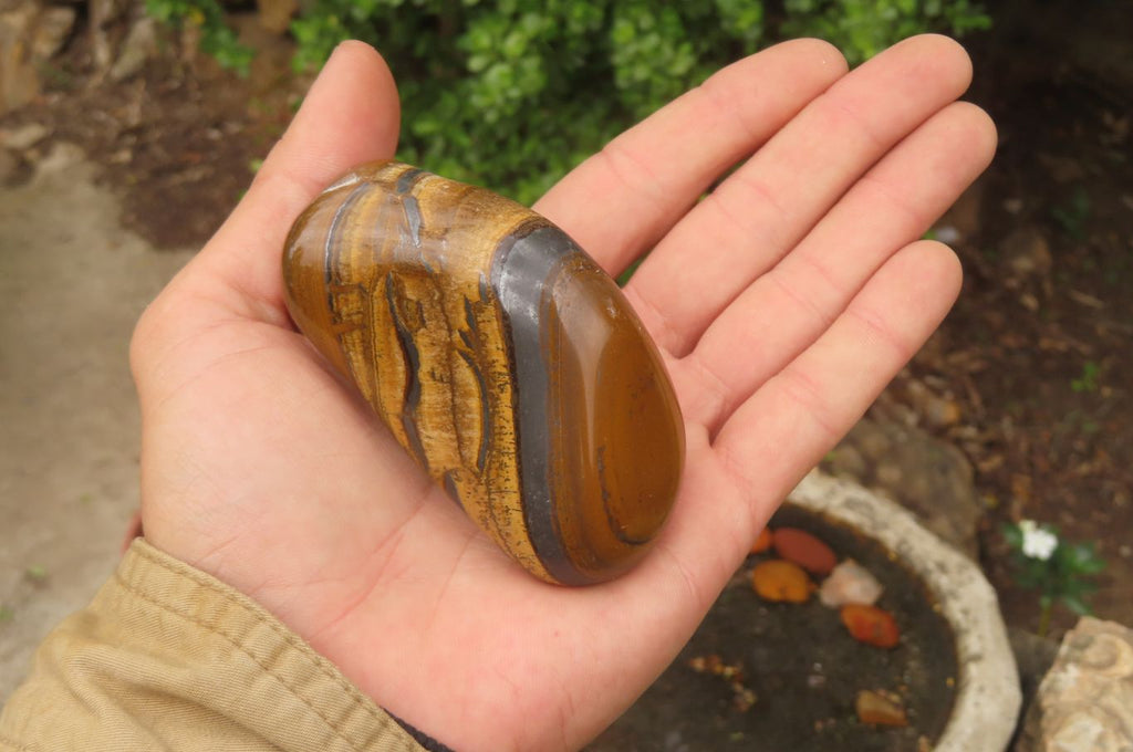 Polished Tiger's Eye Free Forms x 6 From Prieska, South Africa - Toprock Gemstones and Minerals 
