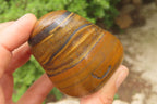 Polished Tiger's Eye Free Forms x 6 From Prieska, South Africa - Toprock Gemstones and Minerals 
