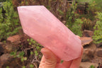 Polished Double Terminated Rose Quartz Points x 6 From Madagascar - Toprock Gemstones and Minerals 