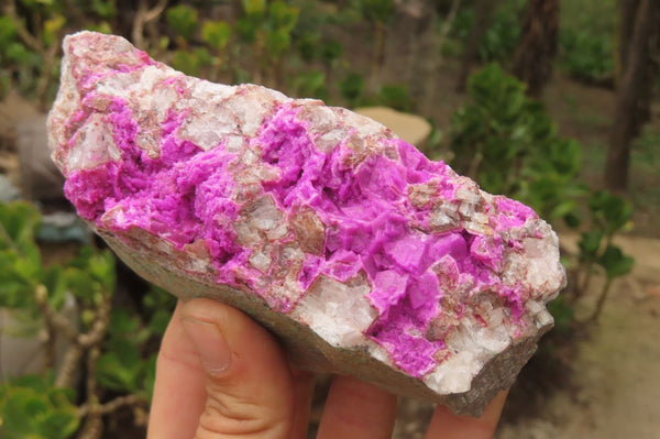 Natural Salrose Cobaltion Dolomite Specimens x 2 From Kakanda, Congo - Toprock Gemstones and Minerals 