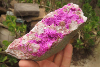 Natural Salrose Cobaltion Dolomite Specimens x 2 From Kakanda, Congo - Toprock Gemstones and Minerals 