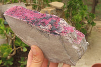 Natural Salrose Cobaltion Dolomite Specimens x 2 From Kakanda, Congo - Toprock Gemstones and Minerals 