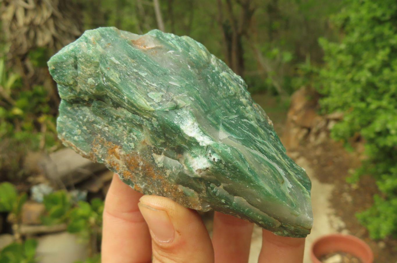 Natural Jade Cobbed Specimens x 12 From Swaziland - Toprock Gemstones and Minerals 