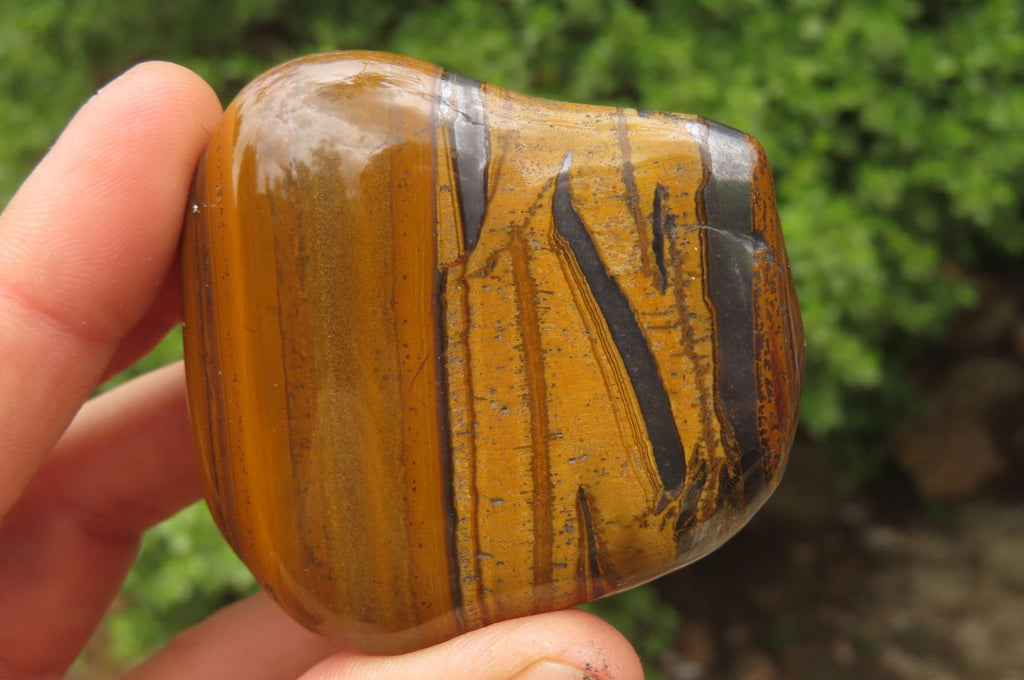Polished Tiger's Eye Free Forms x 12 From Prieska, South Africa - Toprock Gemstones and Minerals 