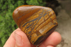 Polished Tiger's Eye Free Forms x 12 From Prieska, South Africa - Toprock Gemstones and Minerals 