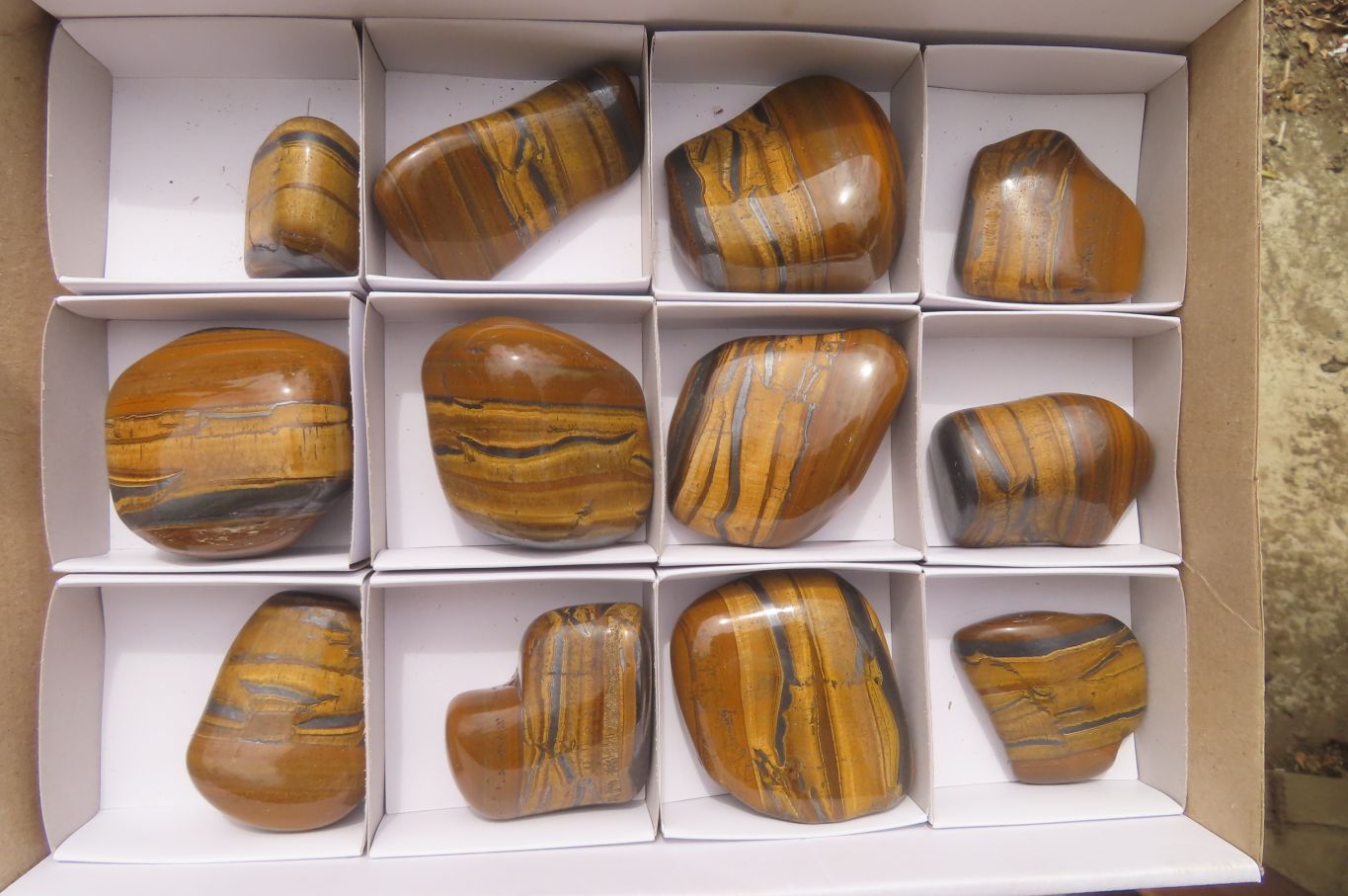 Polished Tiger's Eye Free Forms x 12 From Prieska, South Africa - Toprock Gemstones and Minerals 