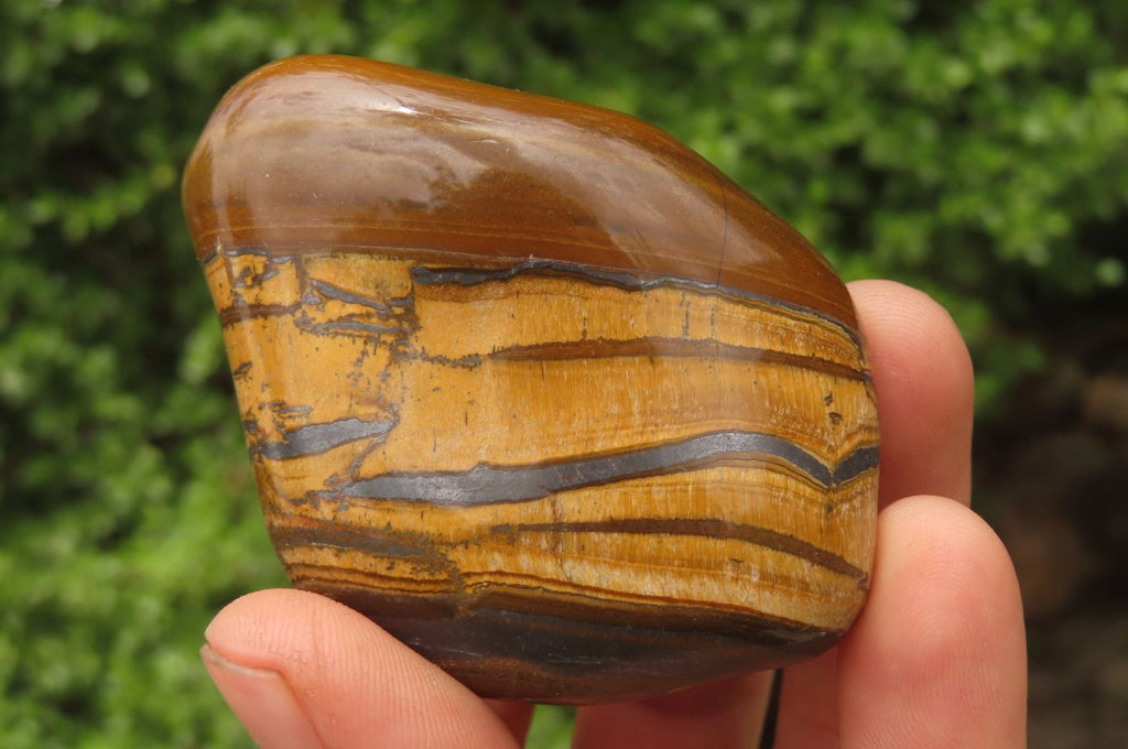 Polished Tiger's Eye Free Forms x 12 From Prieska, South Africa - Toprock Gemstones and Minerals 
