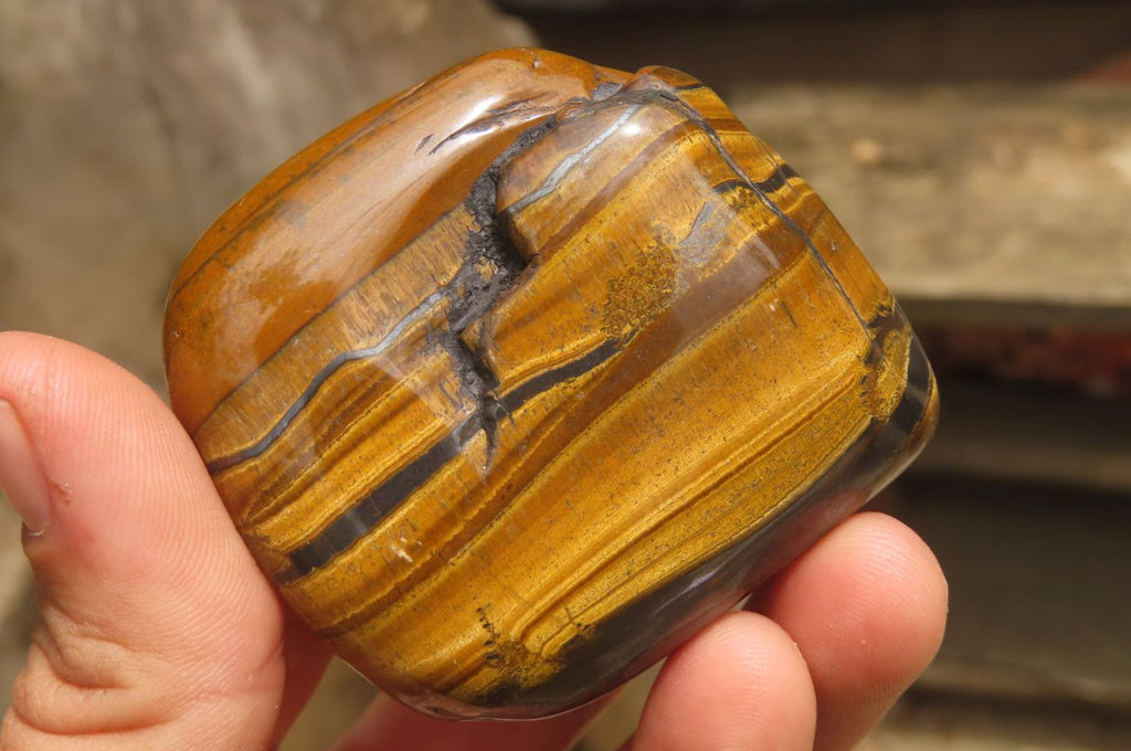 Polished Tiger's Eye Free Forms x 12 From Prieska, South Africa - Toprock Gemstones and Minerals 