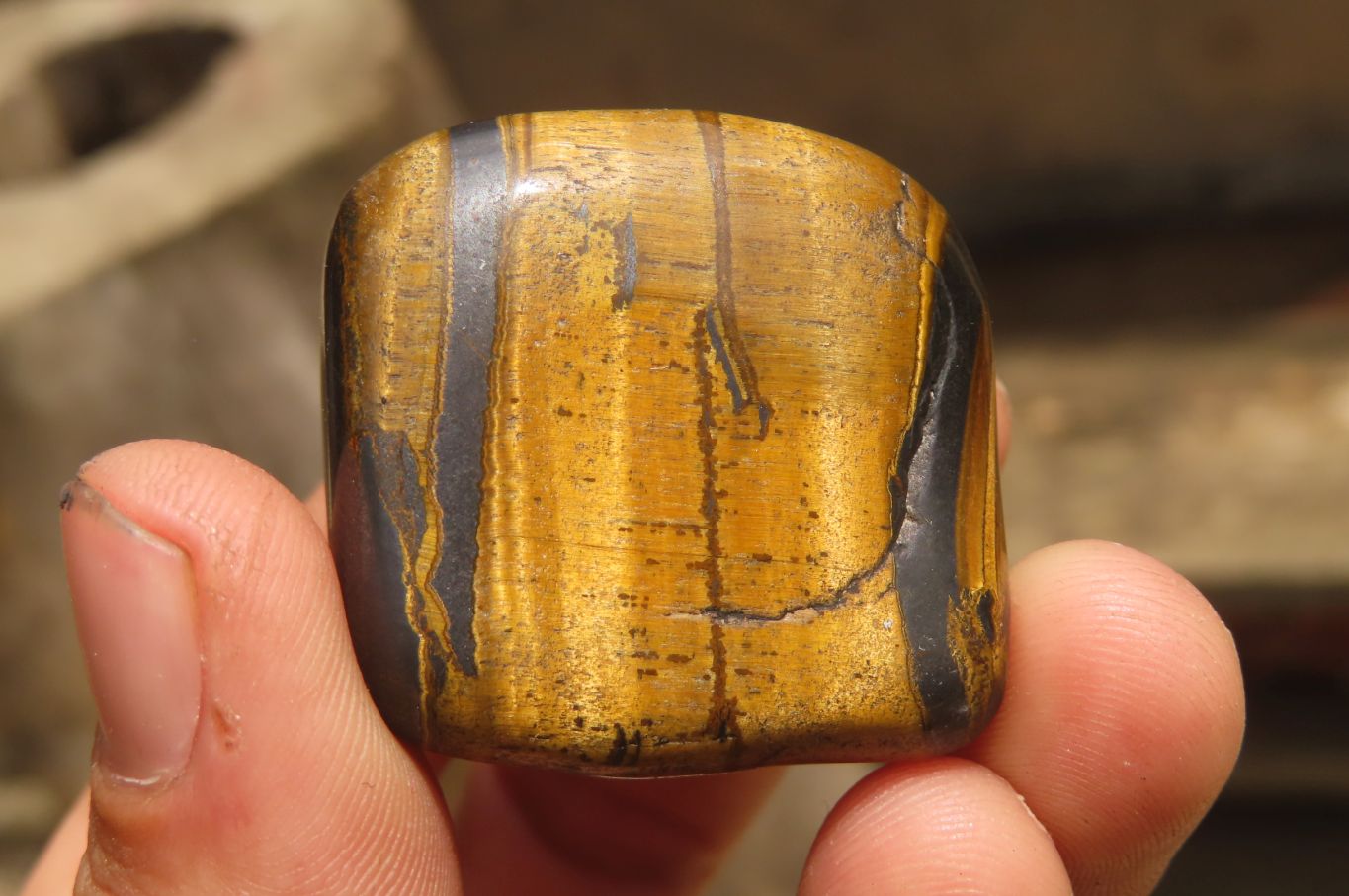 Polished Tiger's Eye Free Forms x 12 From Prieska, South Africa - Toprock Gemstones and Minerals 