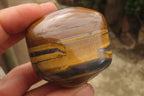 Polished Tiger's Eye Free Forms x 12 From Prieska, South Africa - Toprock Gemstones and Minerals 