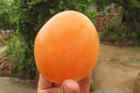 Polished Orange Twist Calcite Standing Free Forms x 3 From Madagascar - Toprock Gemstones and Minerals 