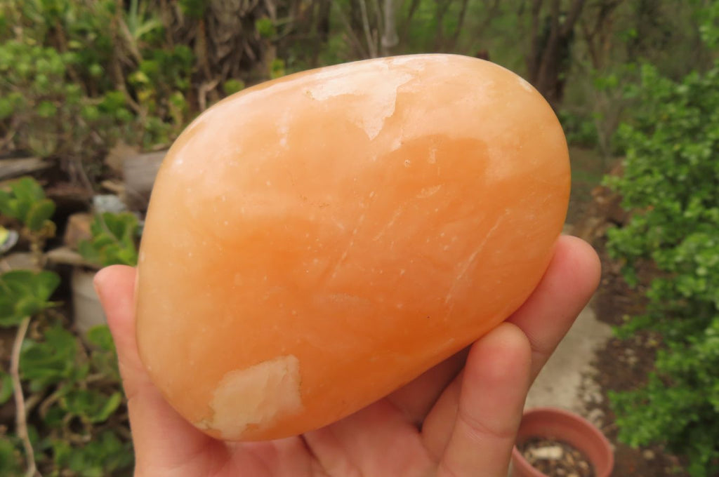 Polished Orange Twist Calcite Standing Free Forms x 3 From Madagascar - Toprock Gemstones and Minerals 