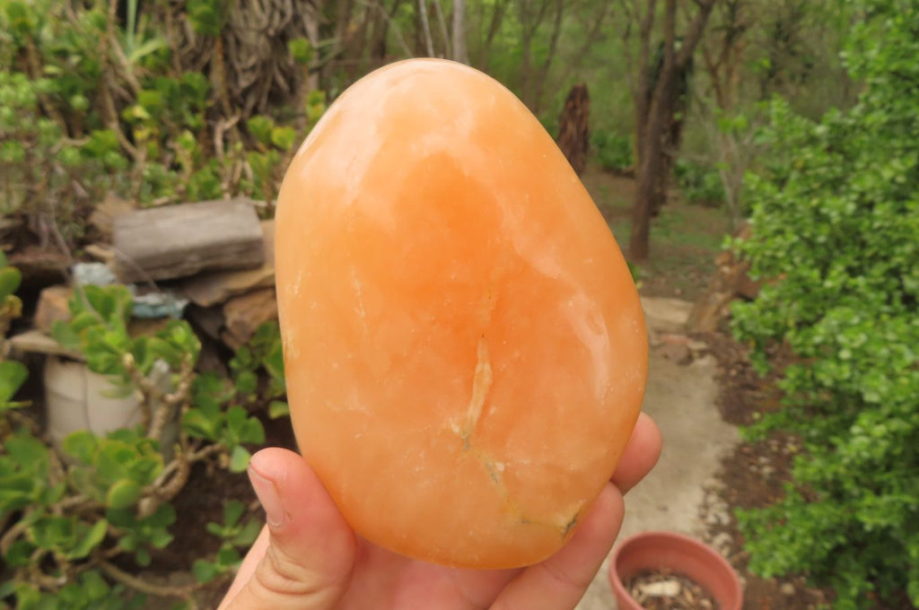 Polished Orange Twist Calcite Standing Free Forms x 3 From Madagascar - Toprock Gemstones and Minerals 