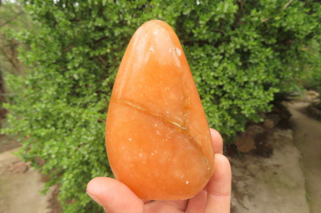 Polished Orange Twist Calcite Standing Free Forms x 3 From Madagascar - Toprock Gemstones and Minerals 