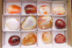 Polished Carnelian Palm Stones x 12 From Madagascar - Toprock Gemstones and Minerals 